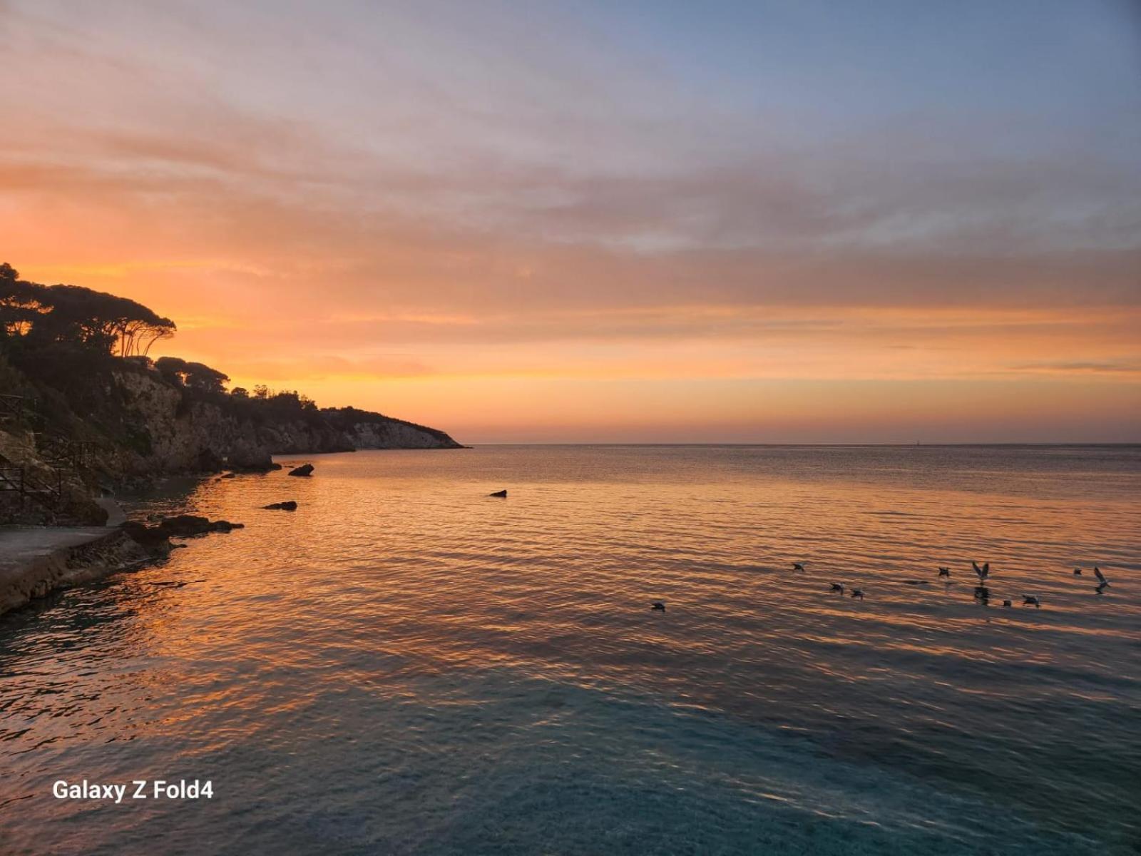 Hotel Le Ghiaie Portoferraio Dış mekan fotoğraf